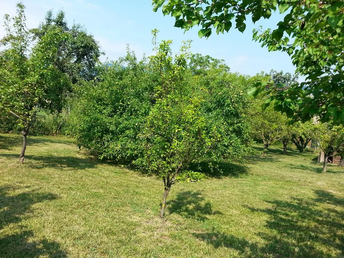 A Fine 2 Bedroom Stone House In Emila Piacenza Holiday home